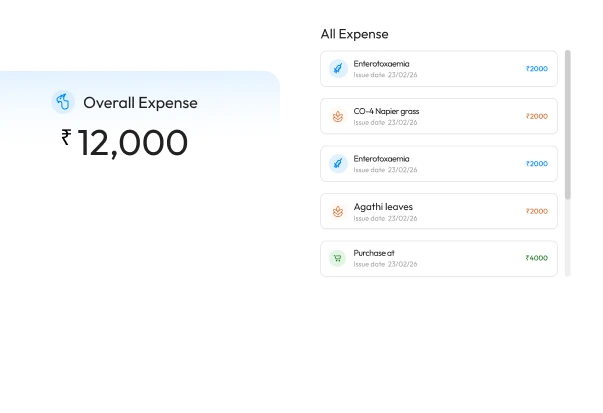 Expense Tracking
