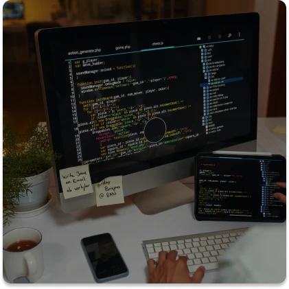 Custom web app development